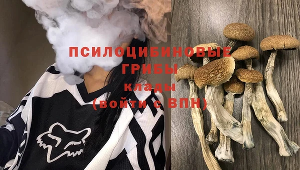 mdpv Саяногорск