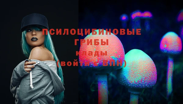 mix Сатка