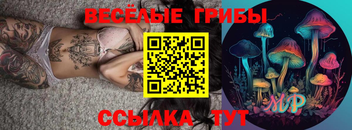 Галлюциногенные грибы GOLDEN TEACHER  Вход с VPN  Сокол  Галлюциногенные грибы GOLDEN TEACHER 