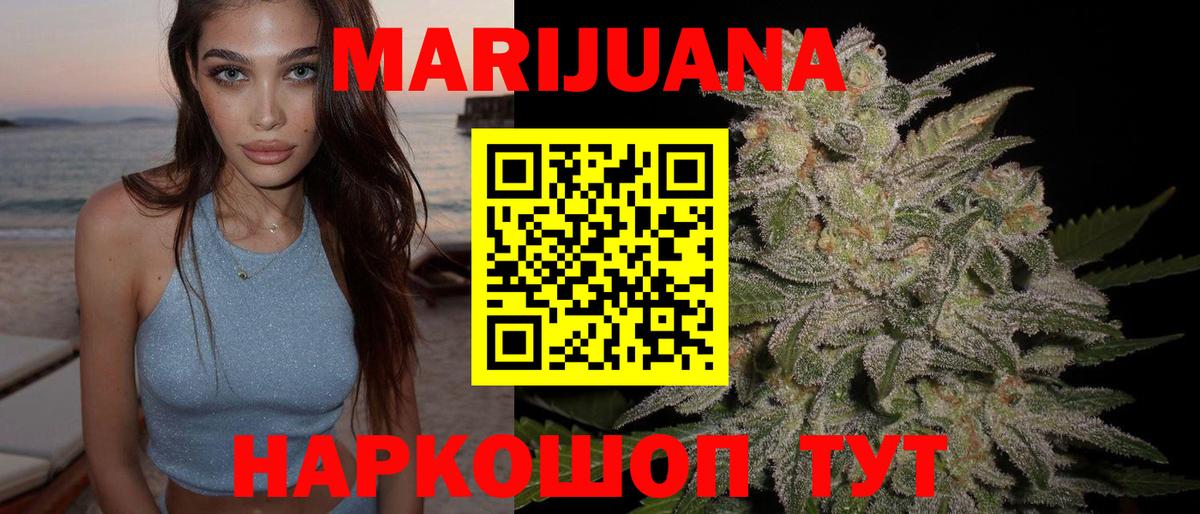 Канабис сатива Сокол