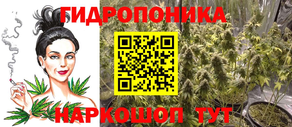 Бошки Шишки White Widow  Шишки марихуана AK-47  Вход с VPN  Шишки марихуана индика  Сокол  Каннабис ГИДРОПОН 
